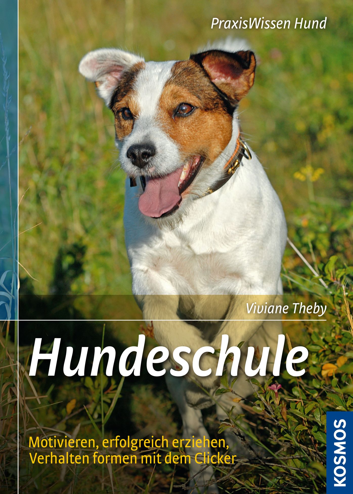 Hundeschule: Motivieren, erfolgreich erziehen, Verhalten formen mit dem Clicker