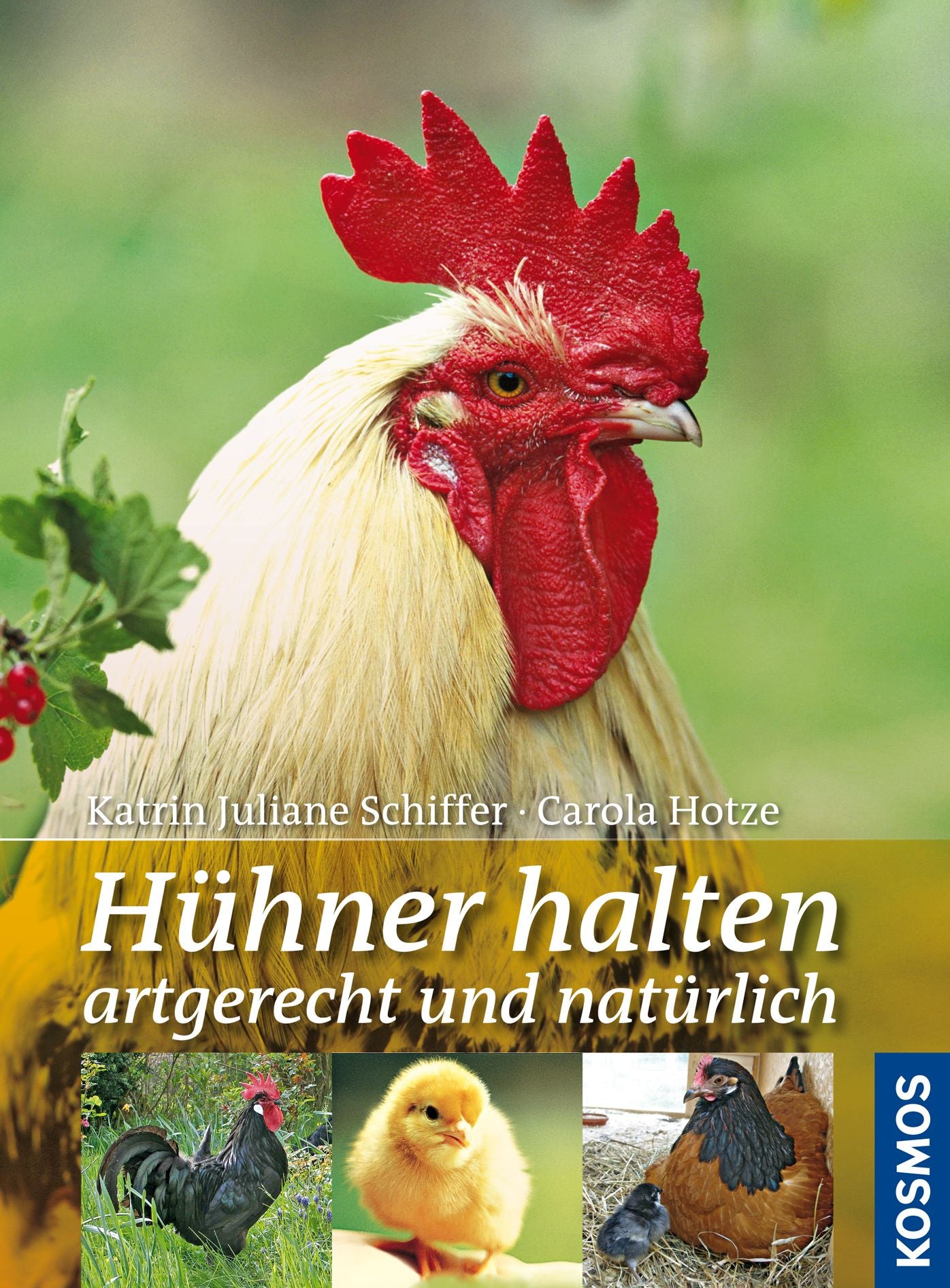 Huehner halten artgerecht und natürlich