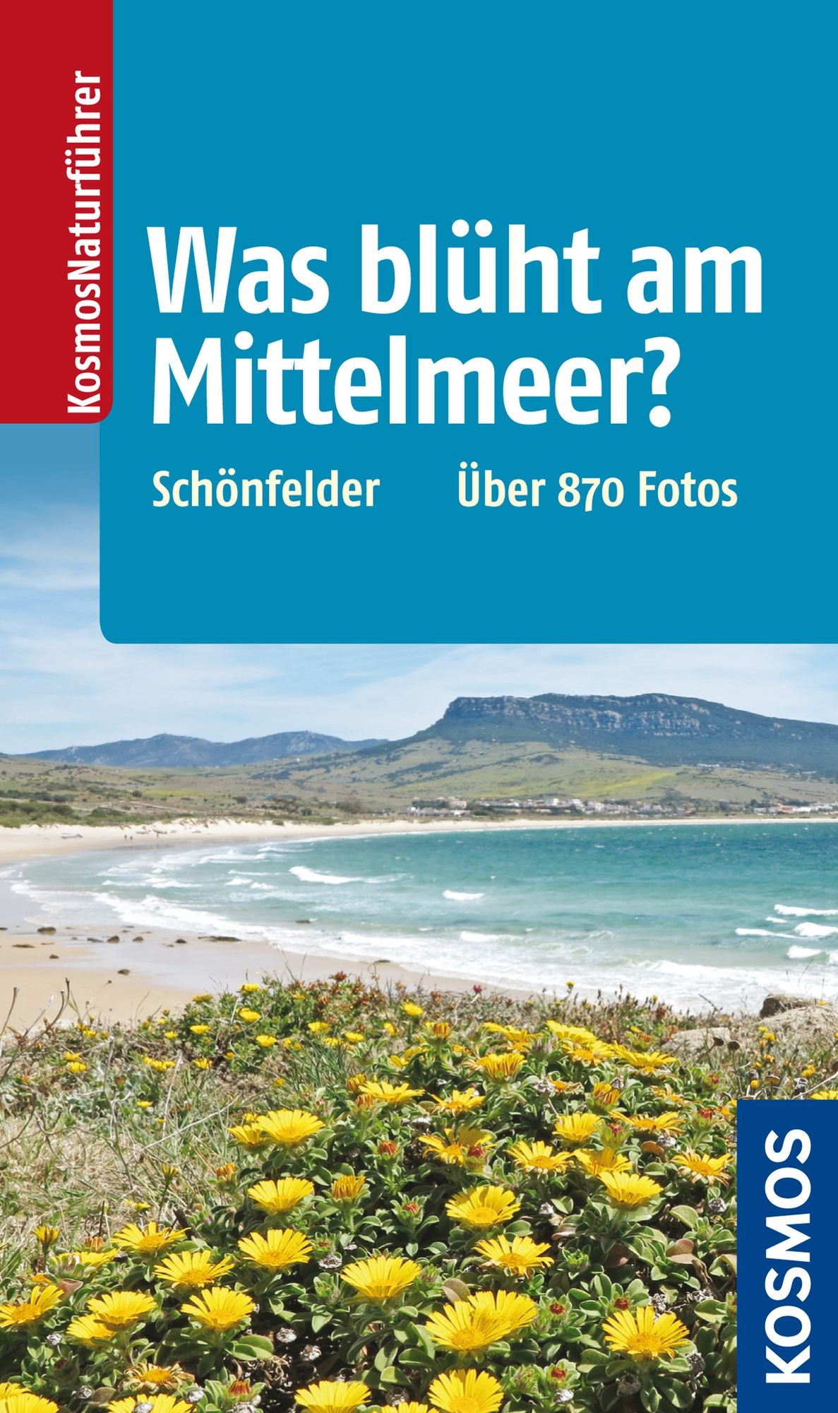 Was blüht am Mittelmeer?: Mit über 850 Fotos