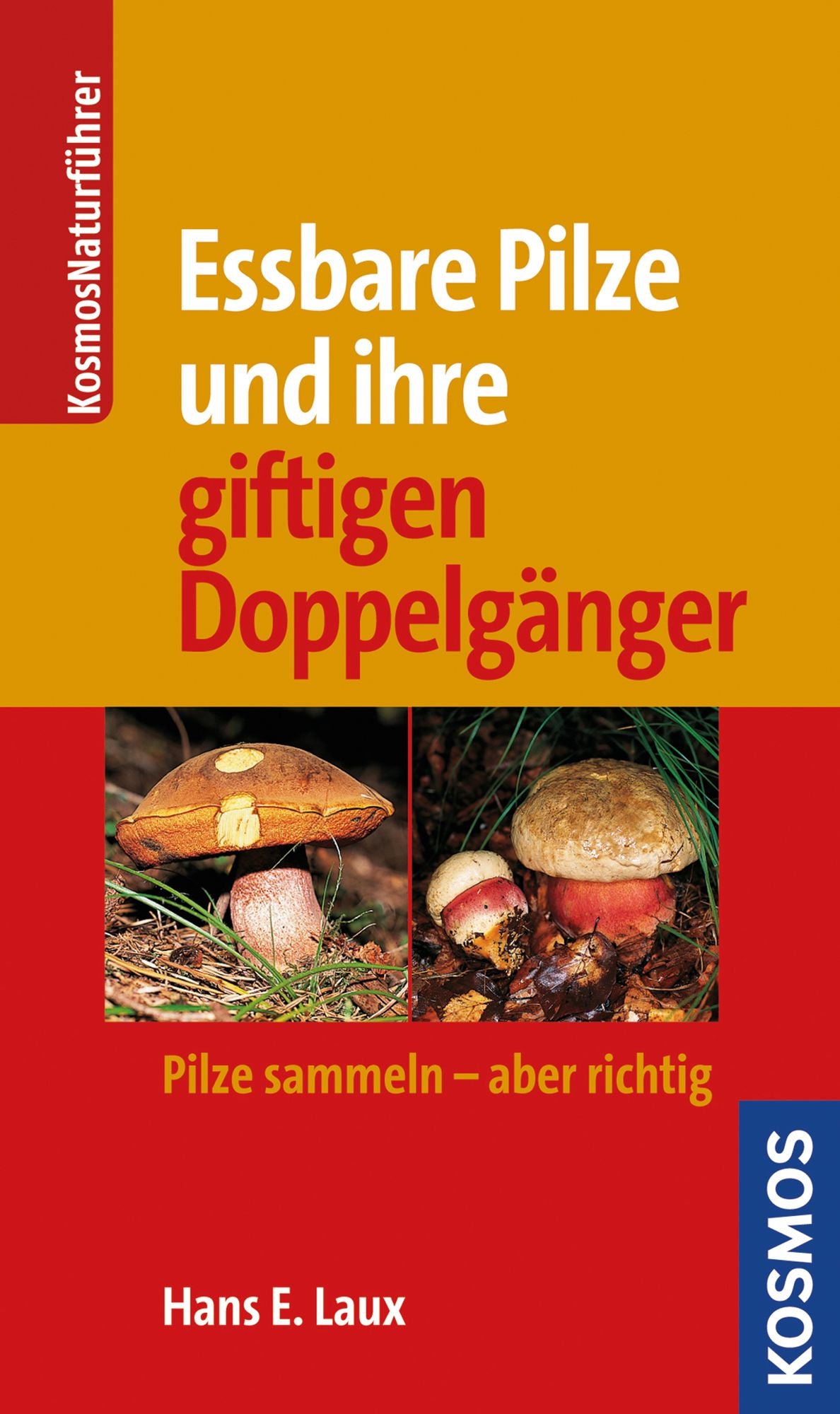 Essbare Pilze und ihre gifitigen Doppelgänger: Pilze sammlen - aber richtig