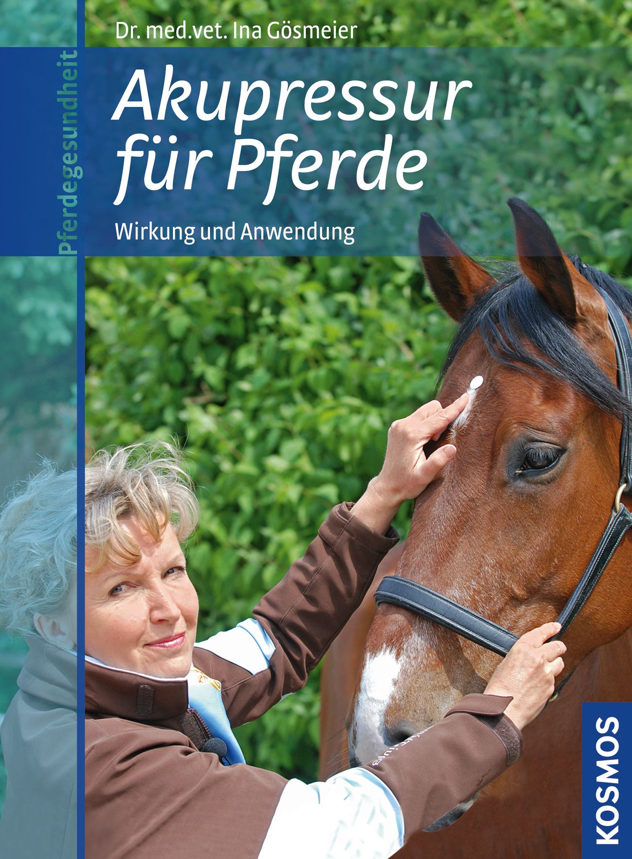 Akupressur für Pferde: Wirkung und Anwendung