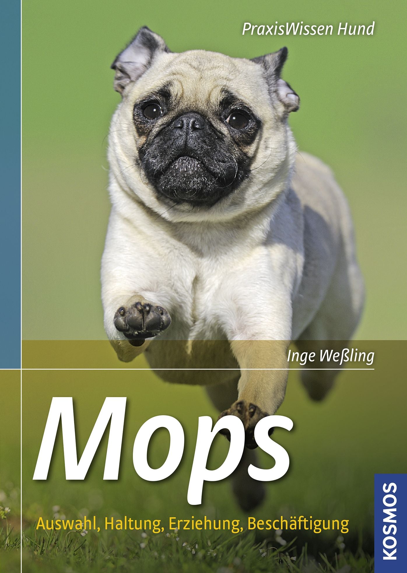 Mops: Auswahl, Haltung, Erziehung, Beschäftigung