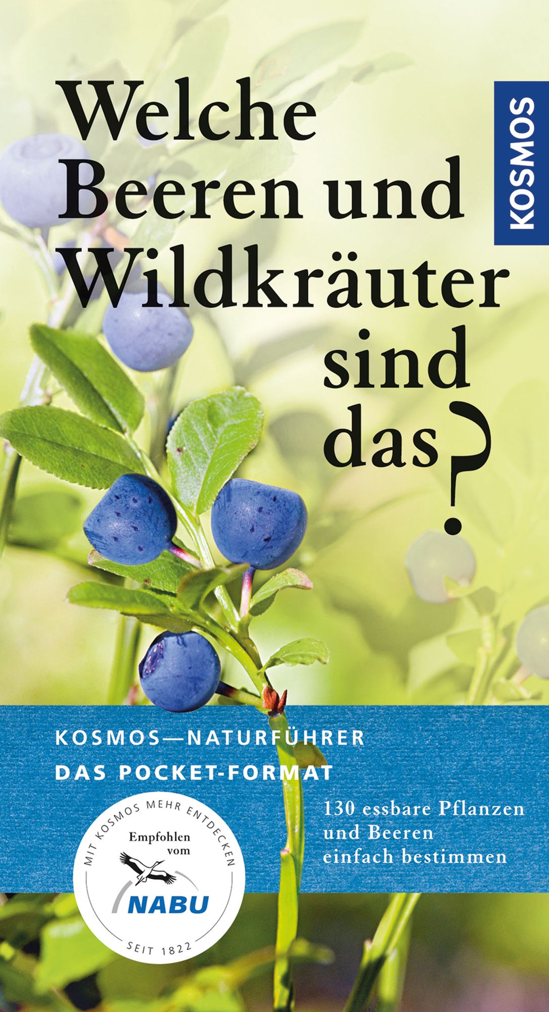 Welche Beeren und Wildkräuter sind das?: 130 Wildkräuter und Beeren einfach bestimmen