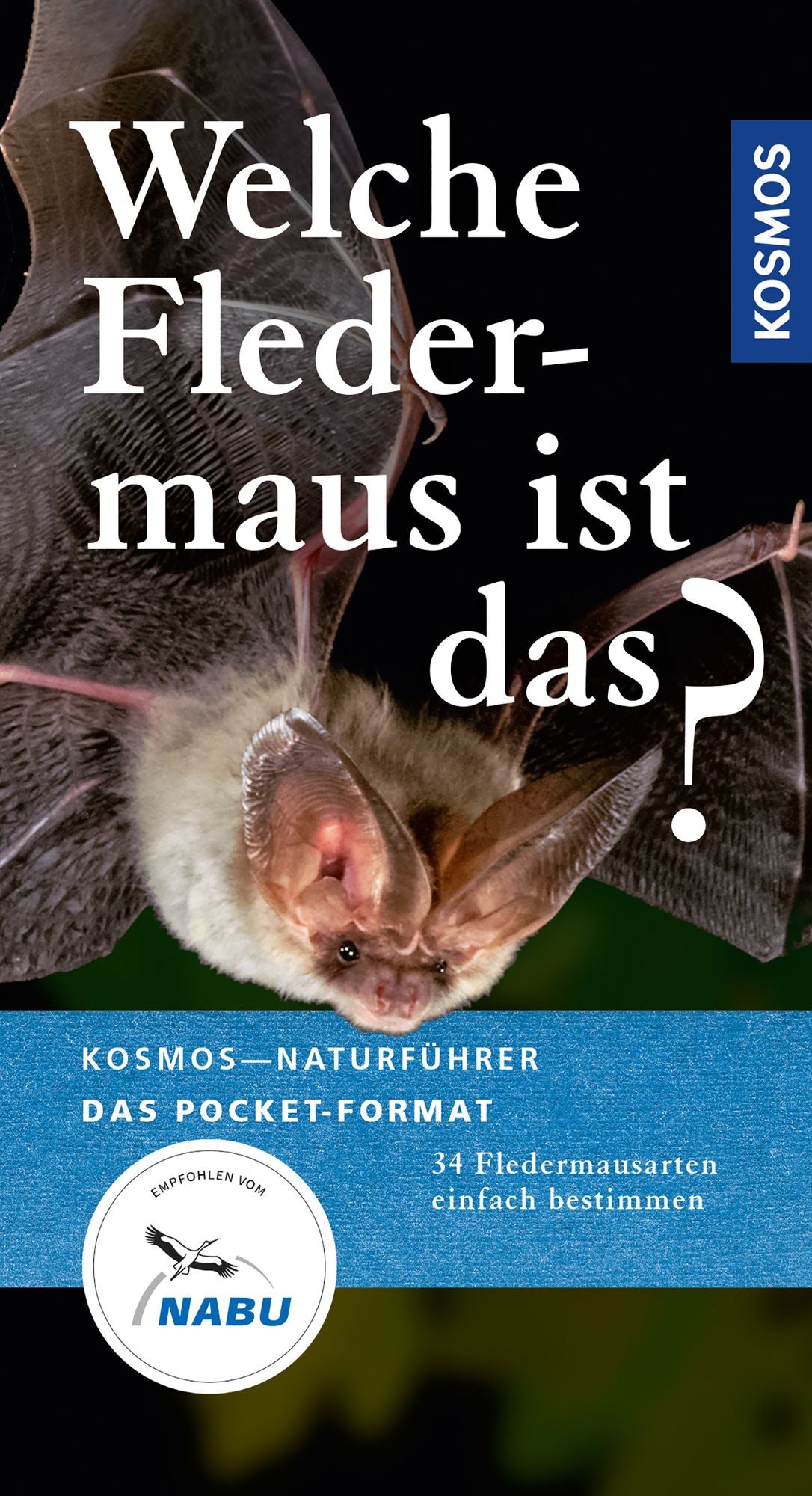 Welche Fledermaus ist das?: 34 Fledermausarten einfach bestimmen