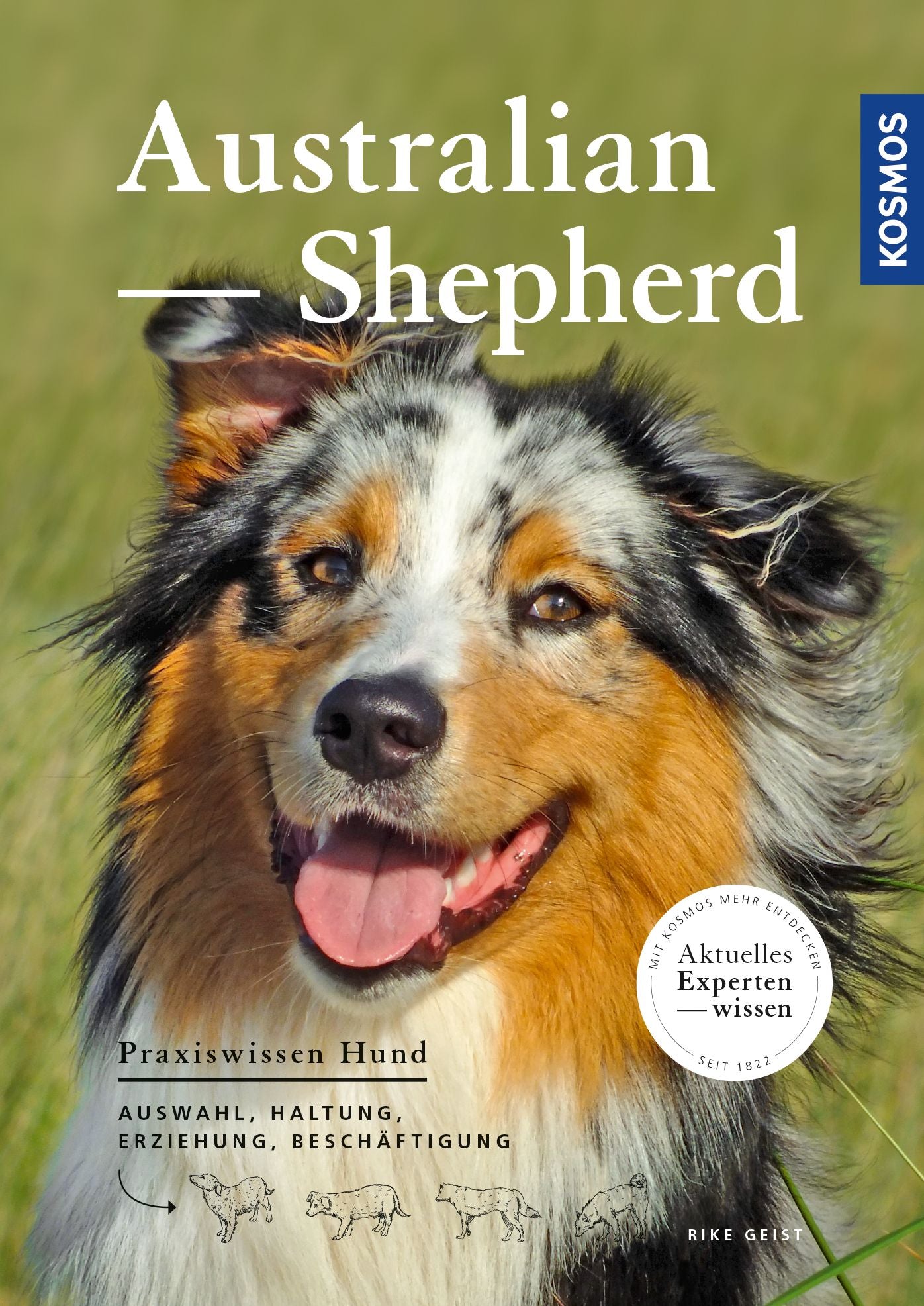 Australian Shepherd: Auswahl, Haltung, Erziehung, Beschäftigung