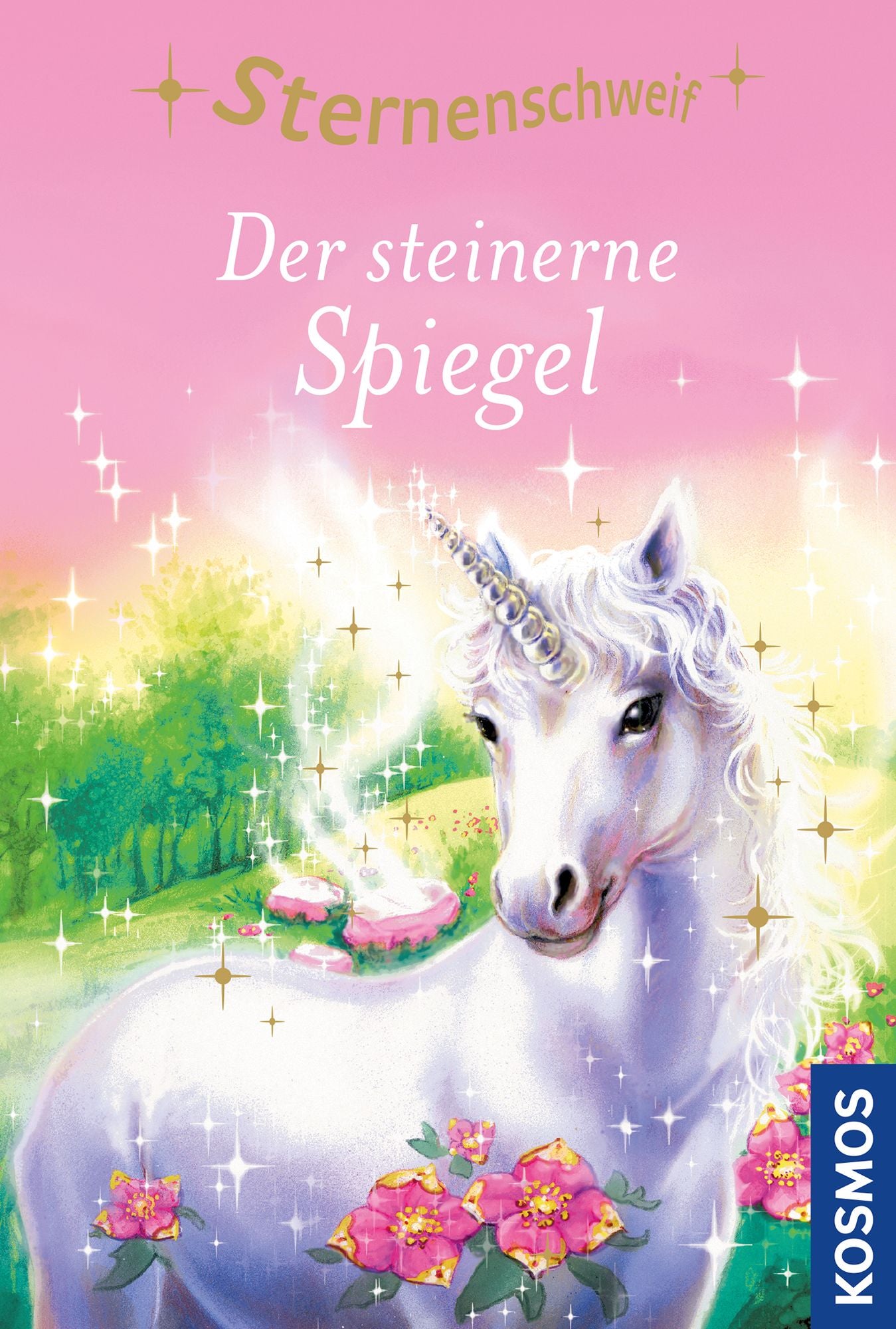 Sternenschweif, 3, Der steinerne Spiegel