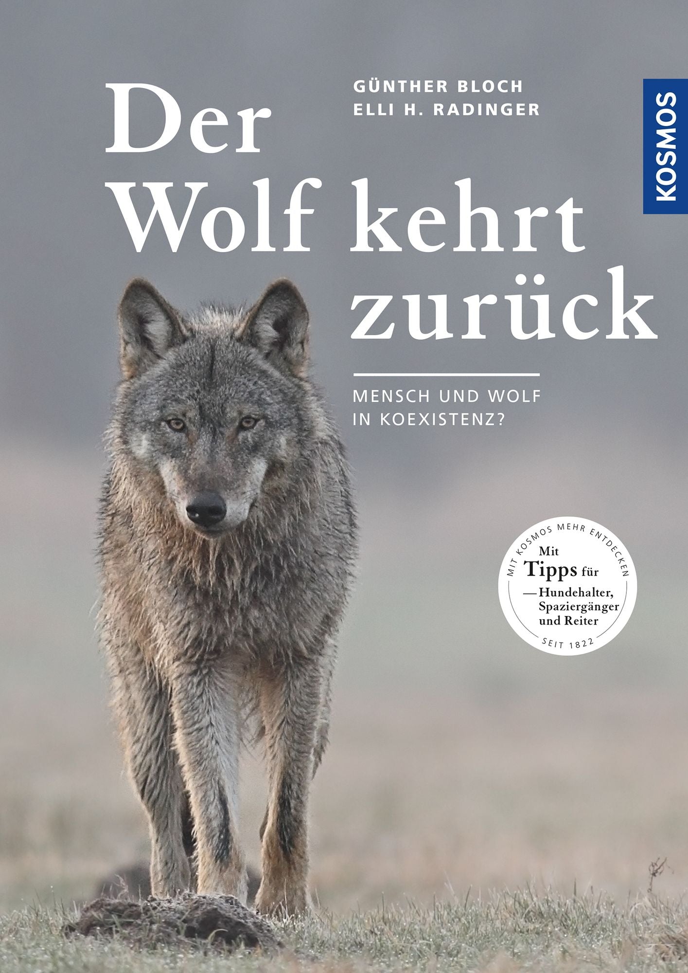 Der Wolf kehrt zurück: Mensch und Wolf in Koexistenz?