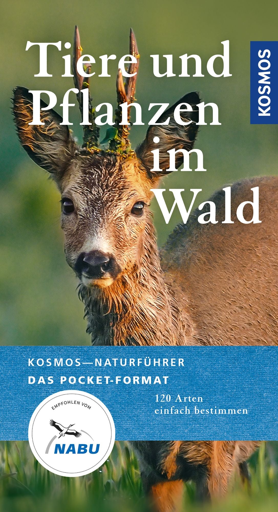 Tiere und Pflanzen unserer Wälder: 120 Arten einfach bestimmen