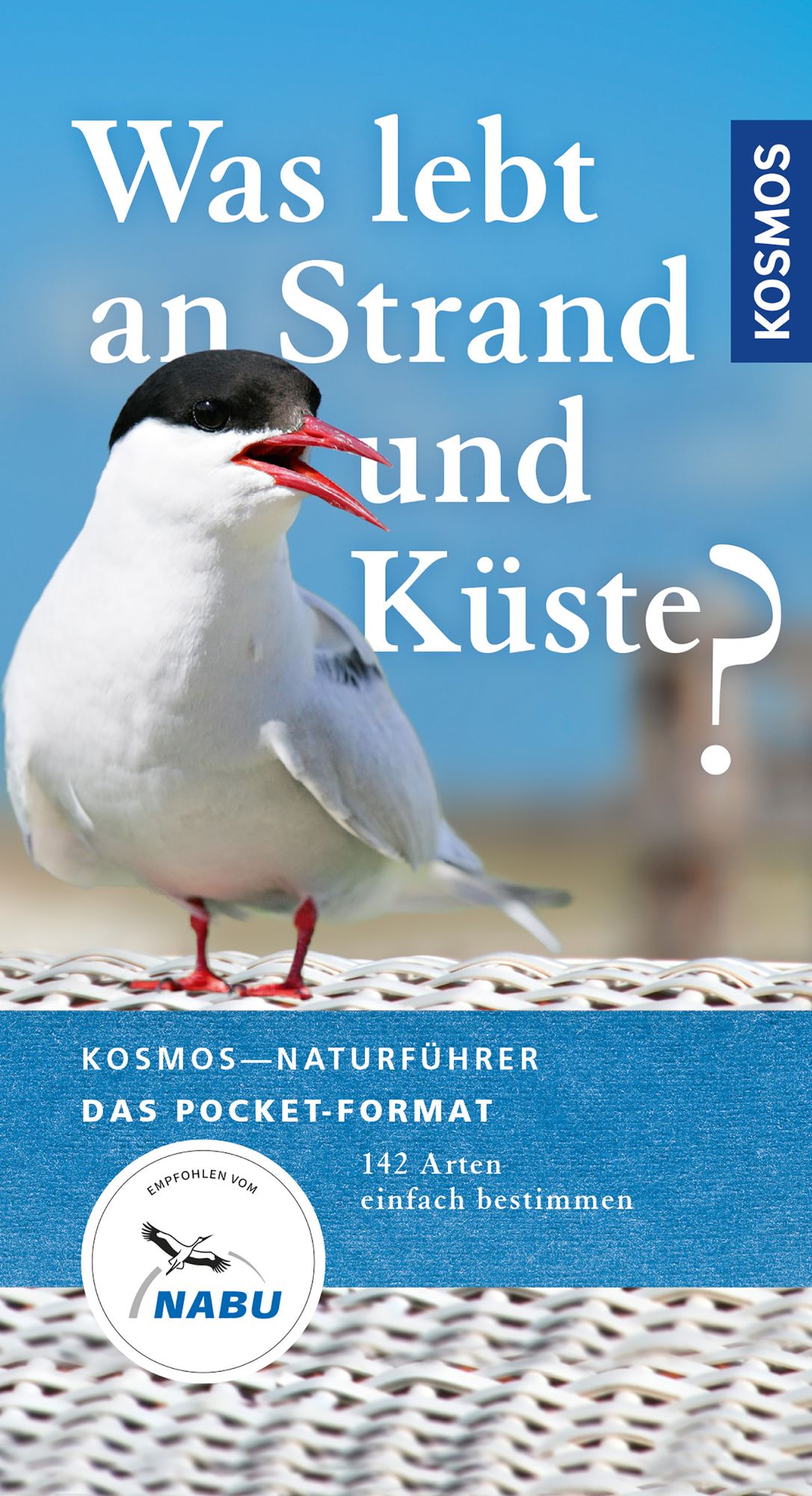 Was lebt an Strand und Küste?: 142 Arten einfach bestimmen