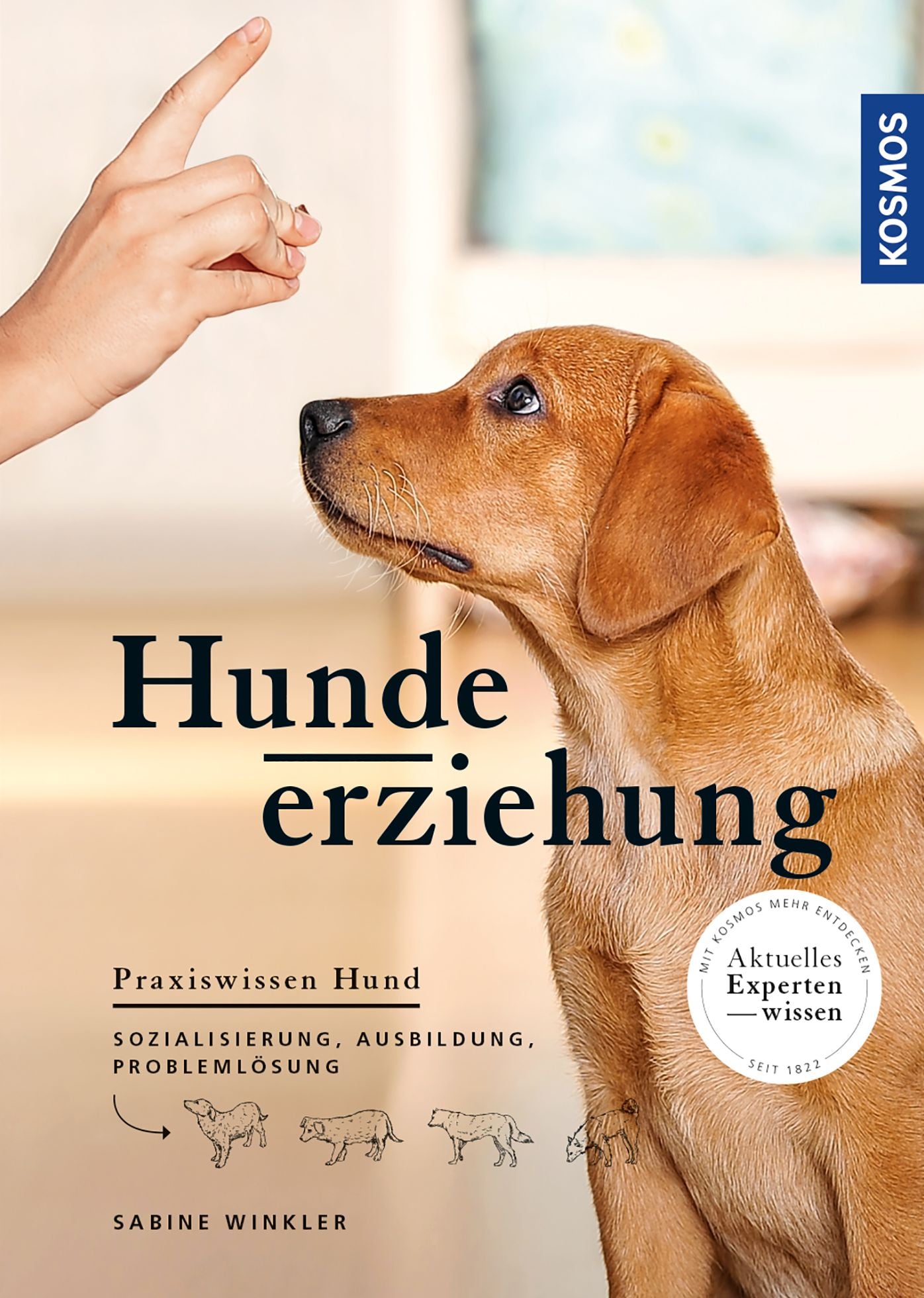 Hundeerziehung: Sozialisierung, Ausbildung, Problemlösung