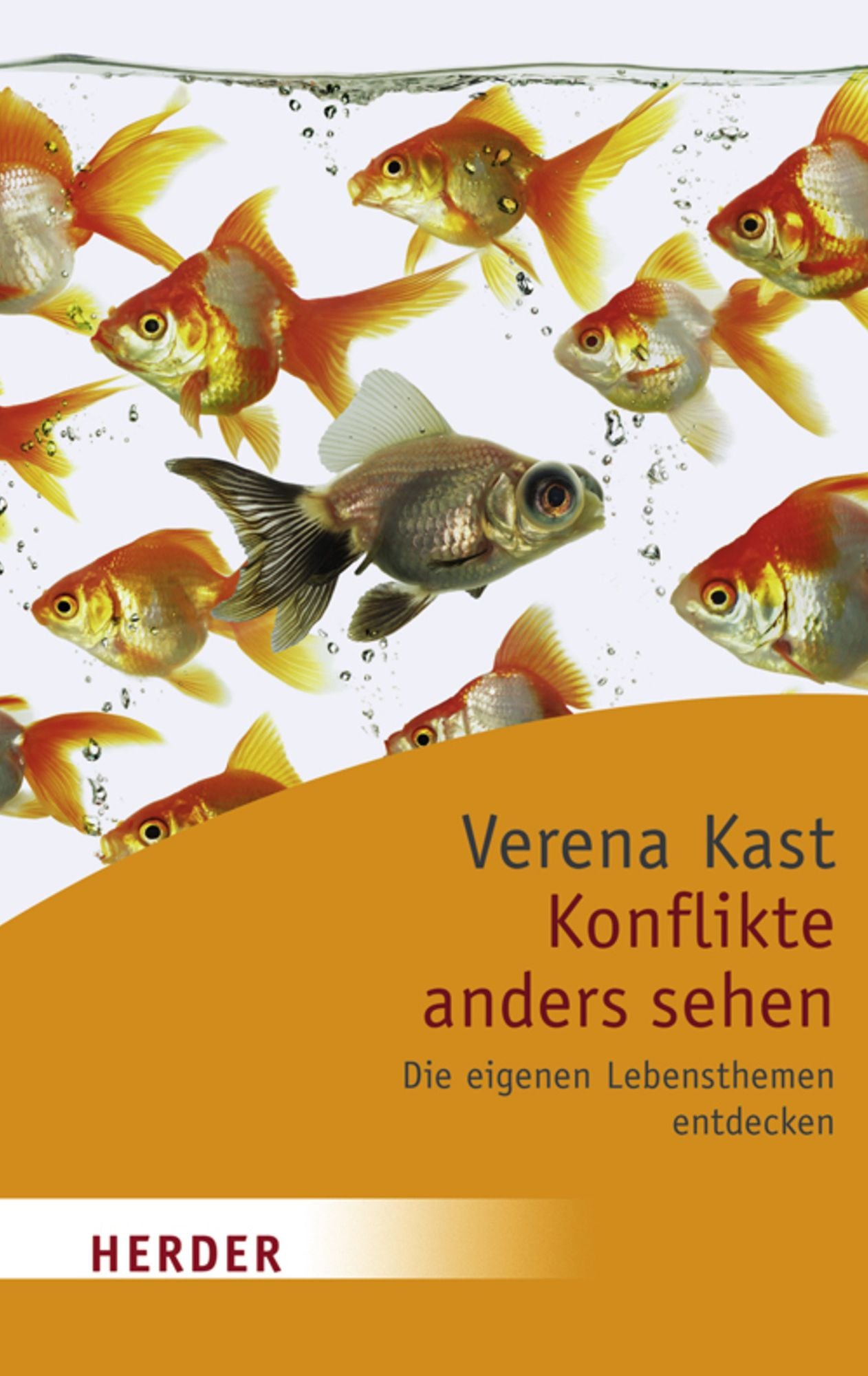 Konflikte anders sehen: Die eigenen Lebensthemen entdecken