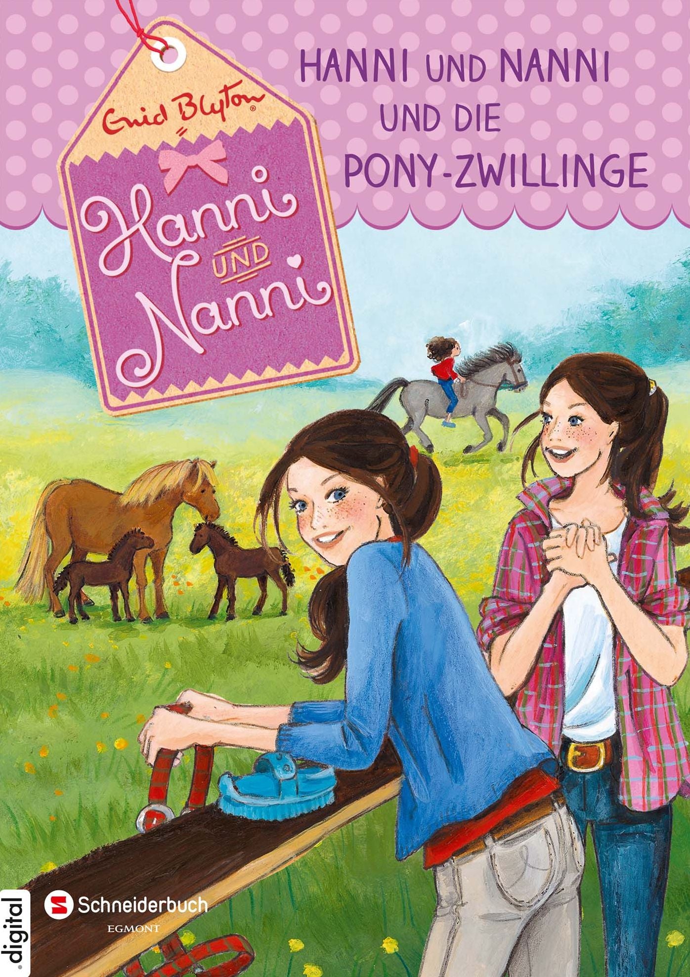 Hanni und Nanni, Band 38: Hanni und Nanni und die Pony-Zwillinge