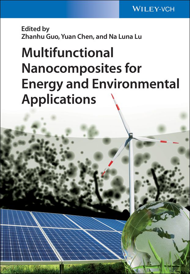 Multifunctional Nanocomposites for Energy and Environmental Applications