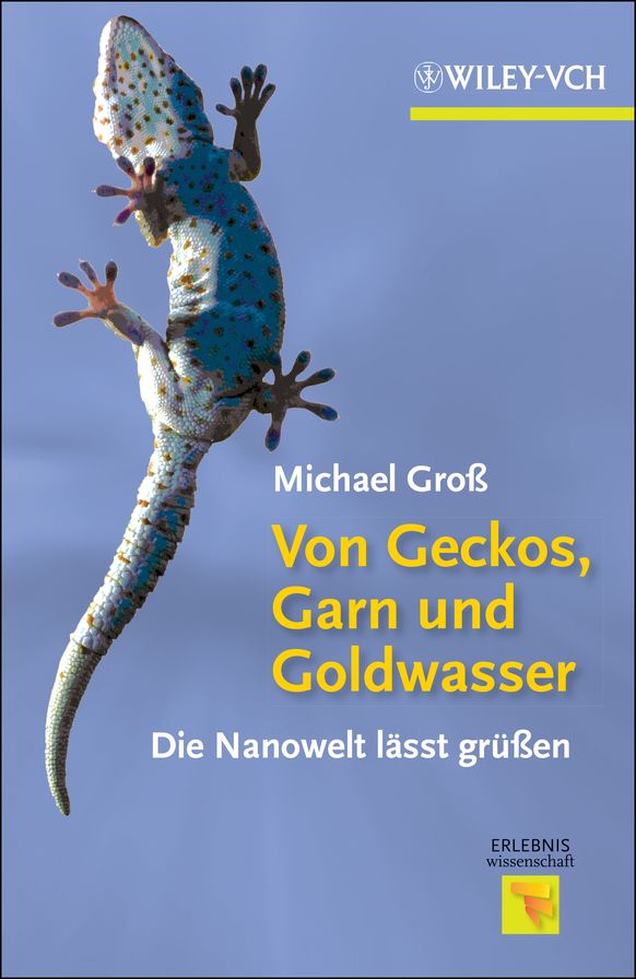 Von Geckos, Garn und Goldwasser: Die Nanowelt lässt grüßen