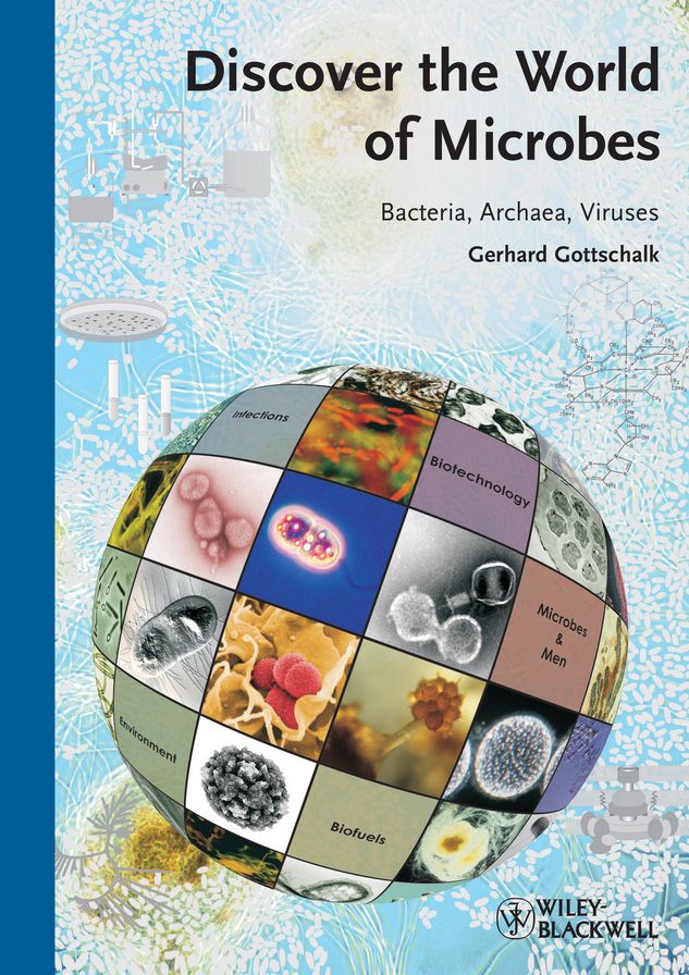 Discover the World of Microbes: Bacteria, Archaea, Viruses