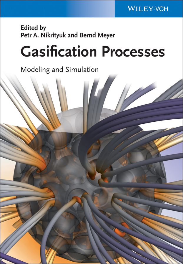 Gasification Processes: Modeling and Simulation
