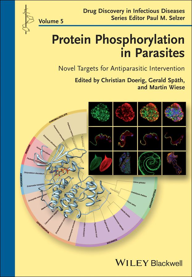 Protein Phosphorylation in Parasites: Novel Targets for Antiparasitic Intervention