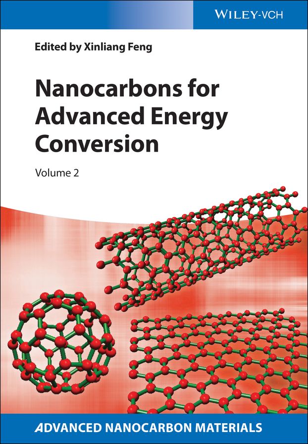 Nanocarbons for Advanced Energy Conversion