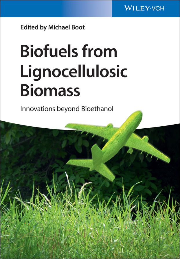 Biofuels from Lignocellulosic Biomass: Innovations beyond Bioethanol