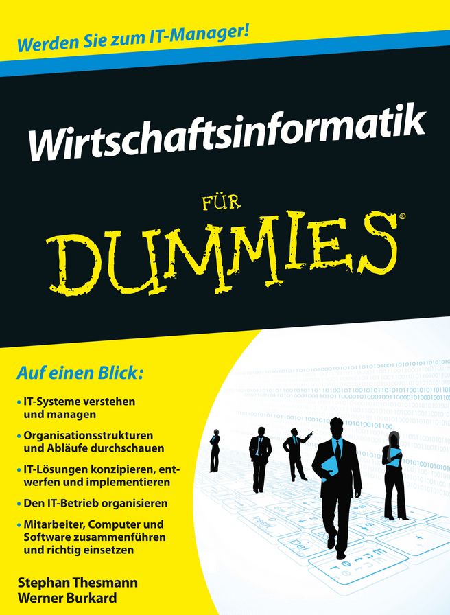Wirtschaftsinformatik für Dummies