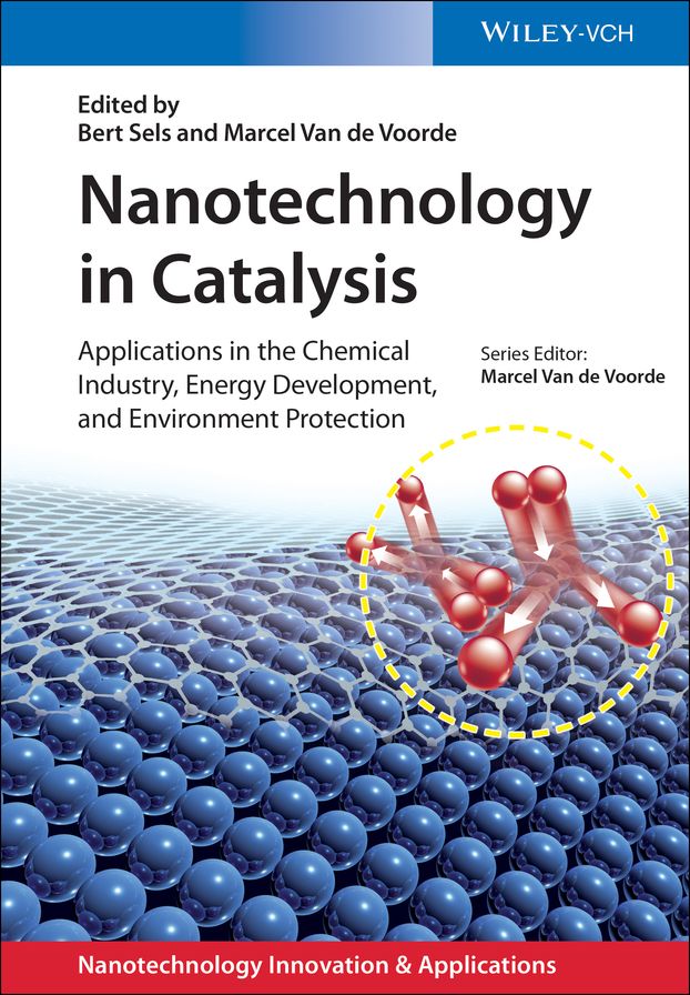 Nanotechnology in Catalysis: Applications in the Chemical Industry, Energy Development, and Environment Protection