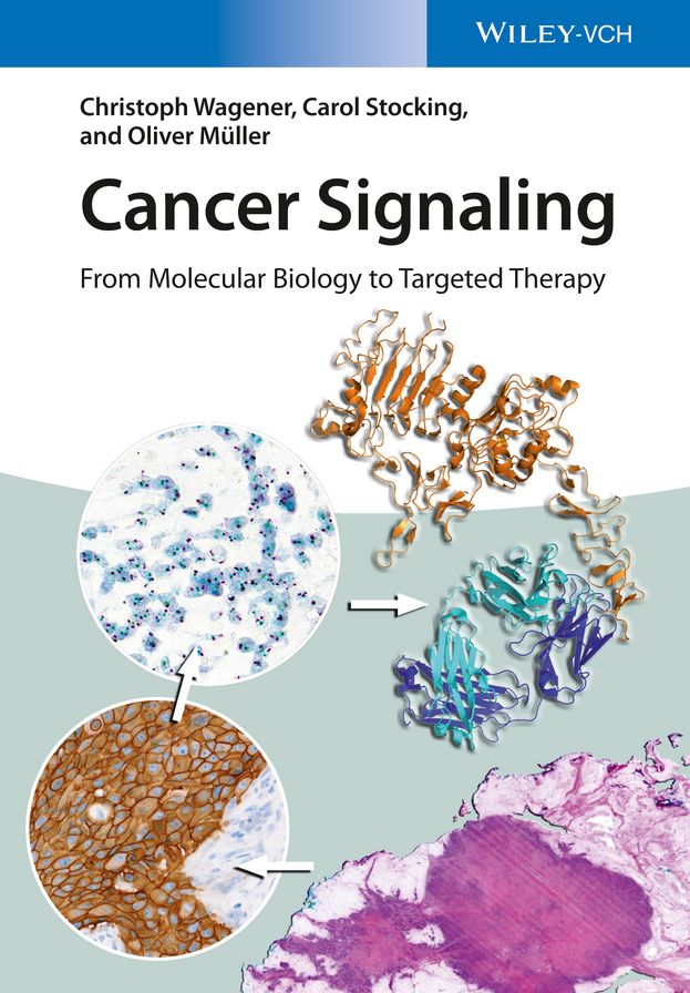 Cancer Signaling, Enhanced Edition: From Molecular Biology to Targeted Therapy