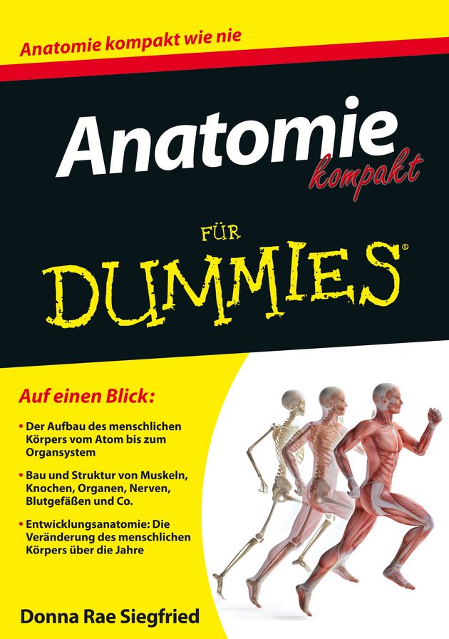Anatomie kompakt für Dummies