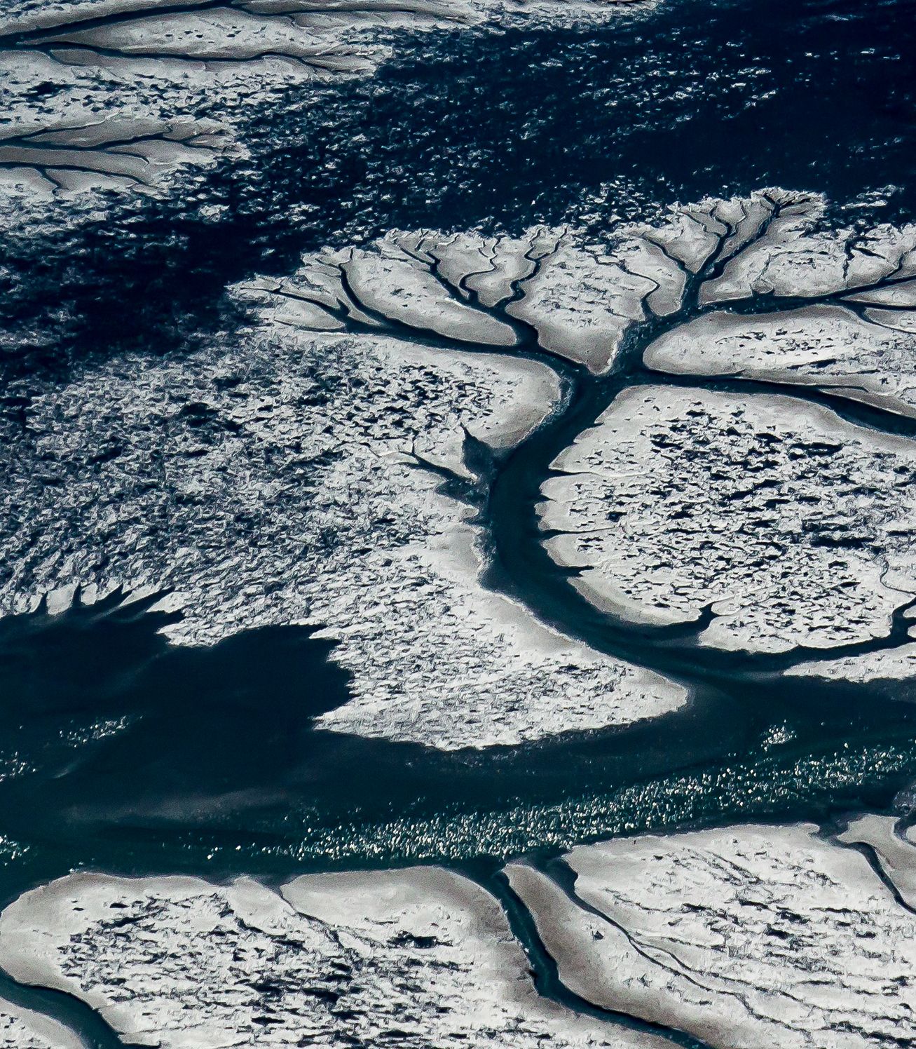 Wadden Sea