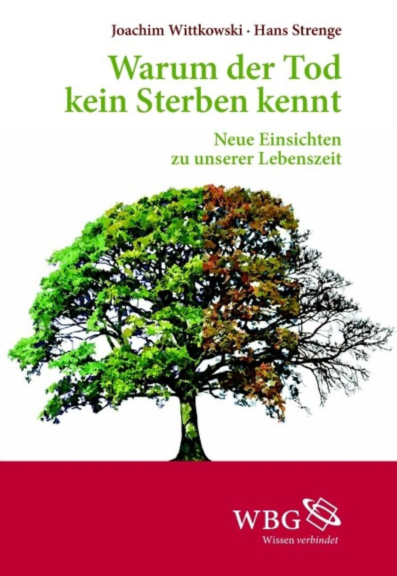 Warum der Tod kein Sterben kennt: Neue Einsichten zu unserer Lebenszeit
