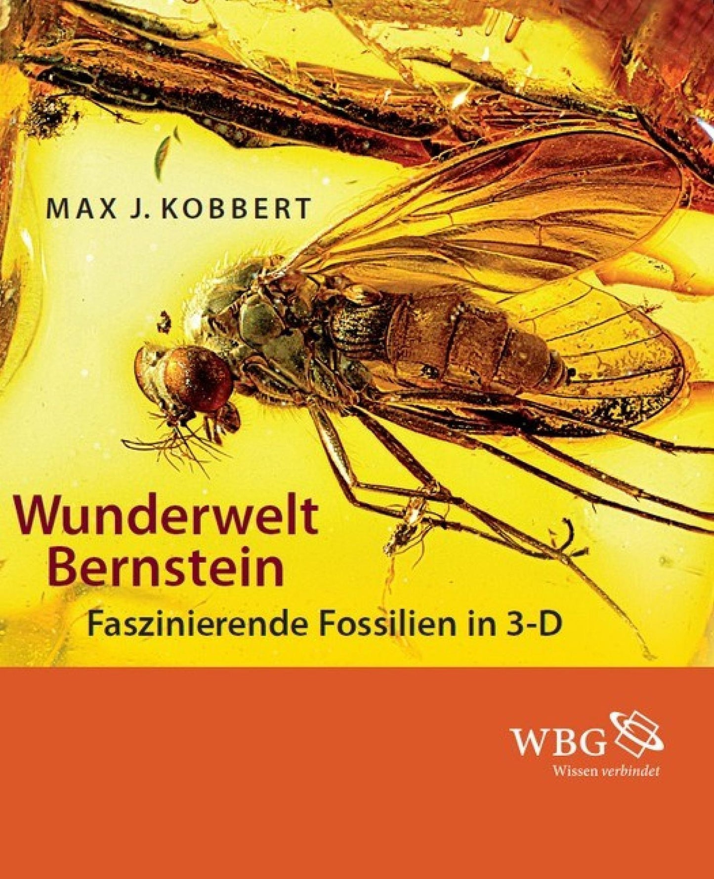 Wunderwelt Bernstein: Faszinierende Fossilien in 3-D
