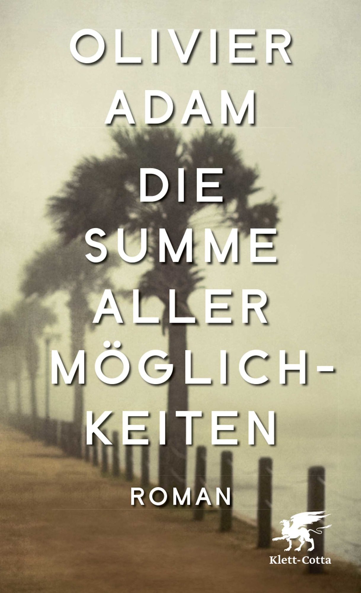 Die Summe aller Möglichkeiten: Roman