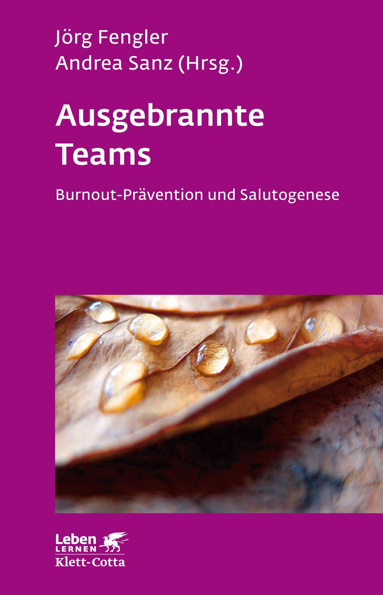 Ausgebrannte Teams: Burnout-Prävention und Salutogenese
