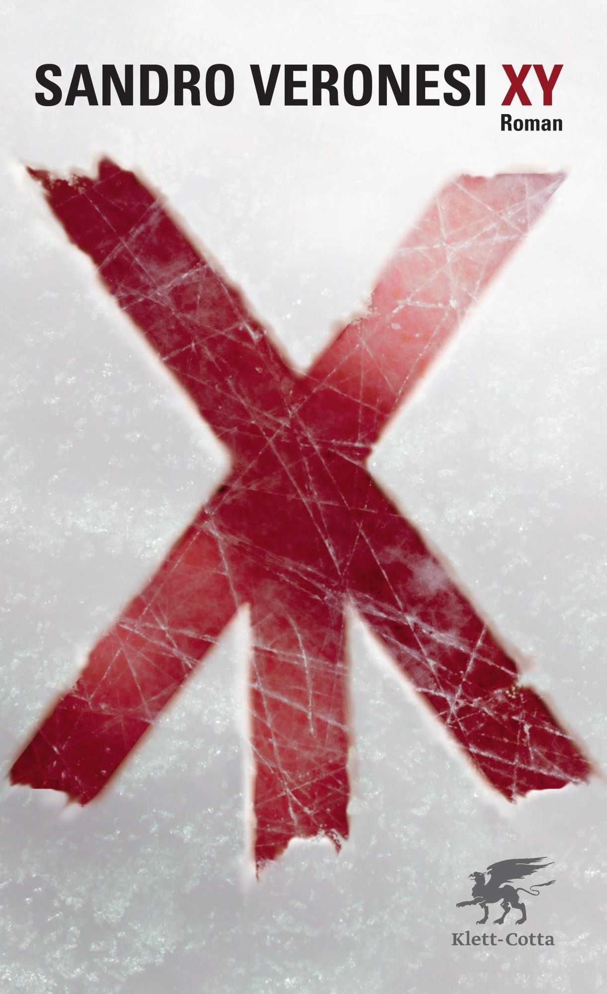 XY: Roman