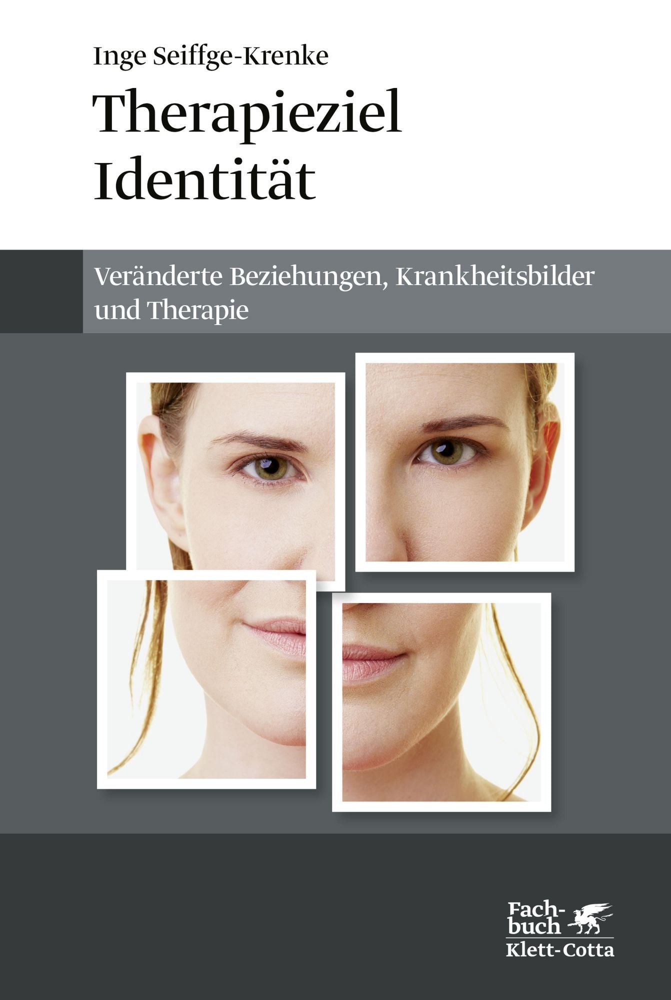 Therapieziel Identität: Veränderte Beziehungen, Krankheitsbilder und Therapie