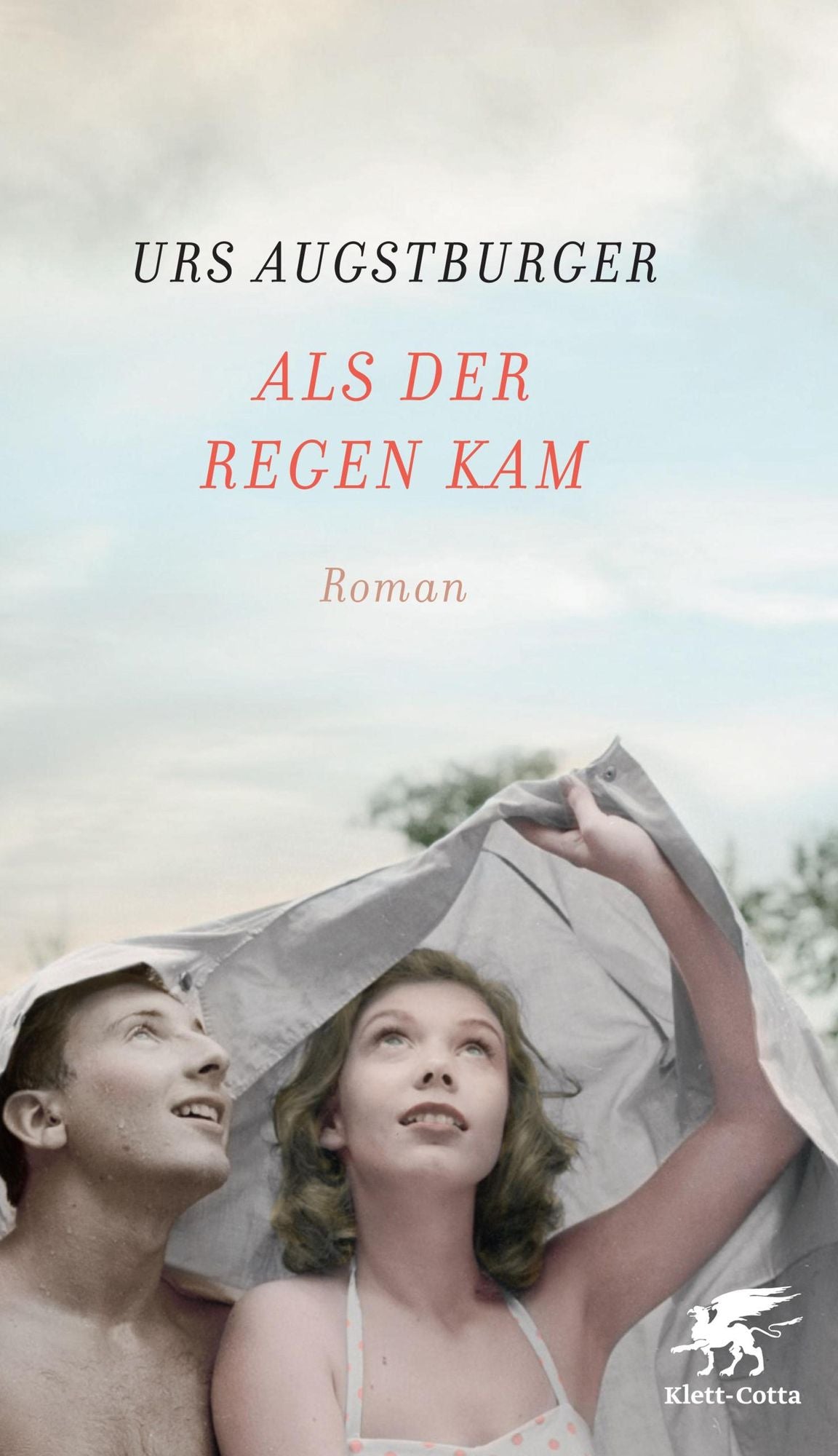 Als der Regen kam: Roman