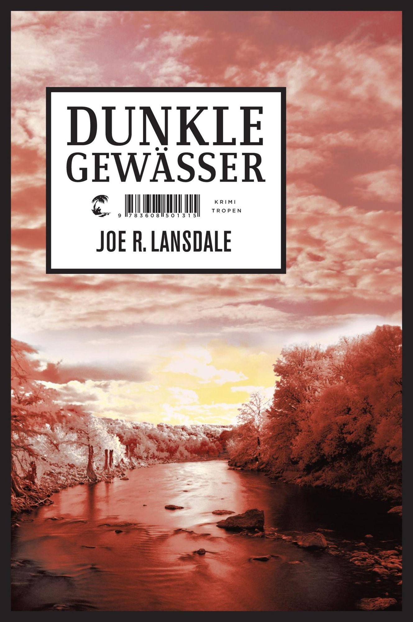Dunkle Gewässer: Krimi
