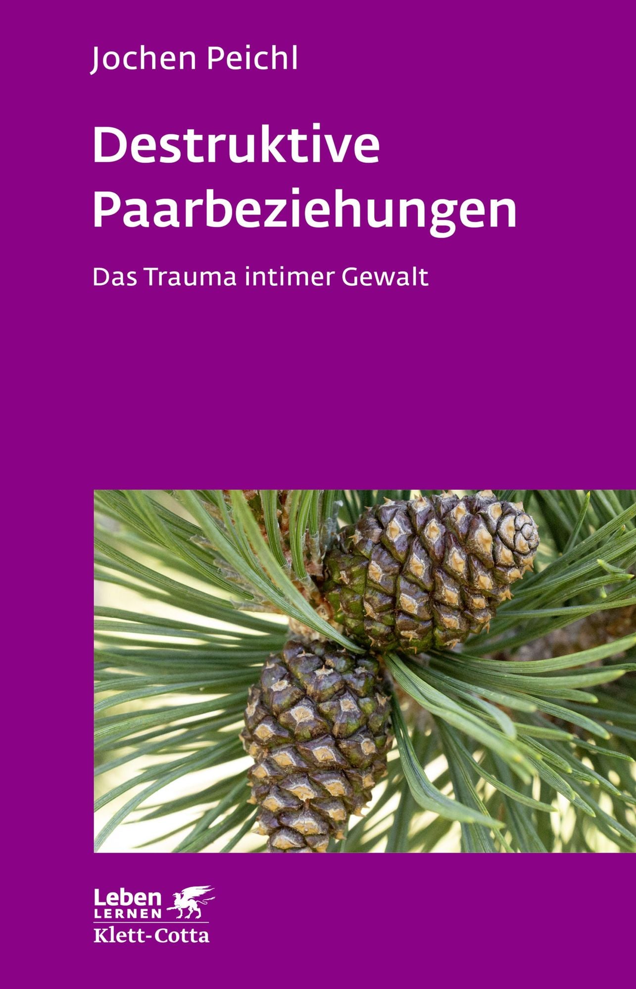Destruktive Paarbeziehungen: Das Trauma intimer Gewalt