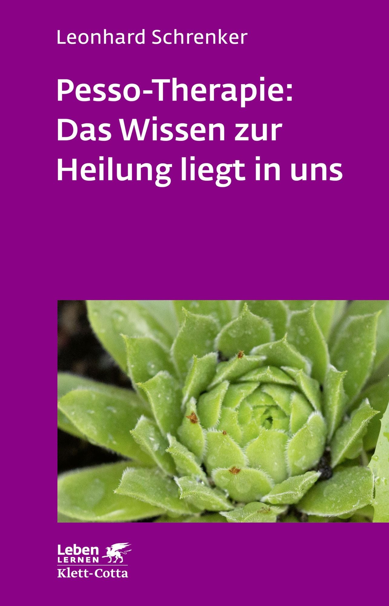 Pesso-Therapie: Das Wissen zur Heilung liegt in uns: PBSP als ganzheitliches Verfahren einer körperorientierten Psychotherapie