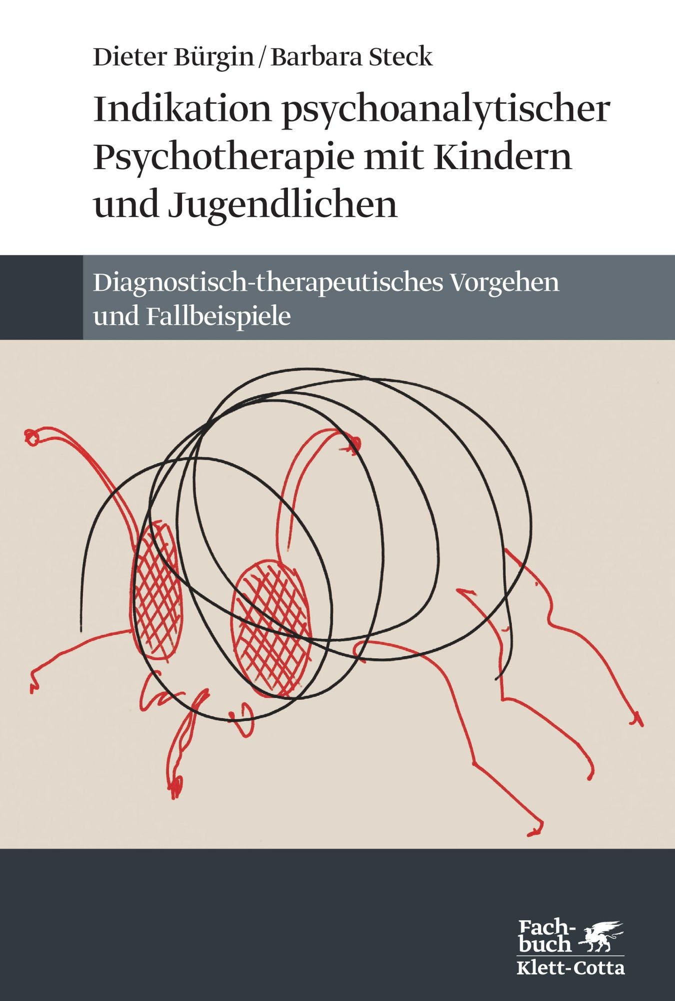 Indikation psychoanalytischer Psychotherapie mit Kindern und Jugendlichen: Diagnostisch-therapeutisches Vorgehen und Fallbeispiele