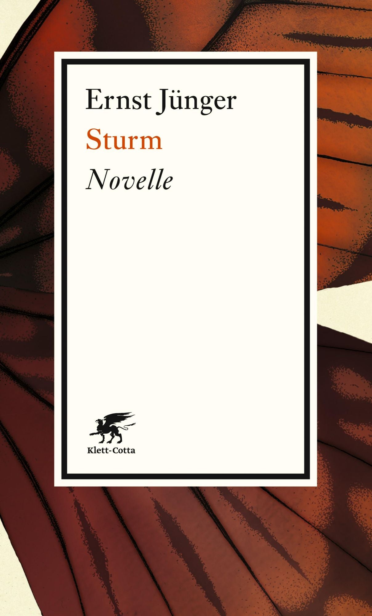 Sturm: Novelle