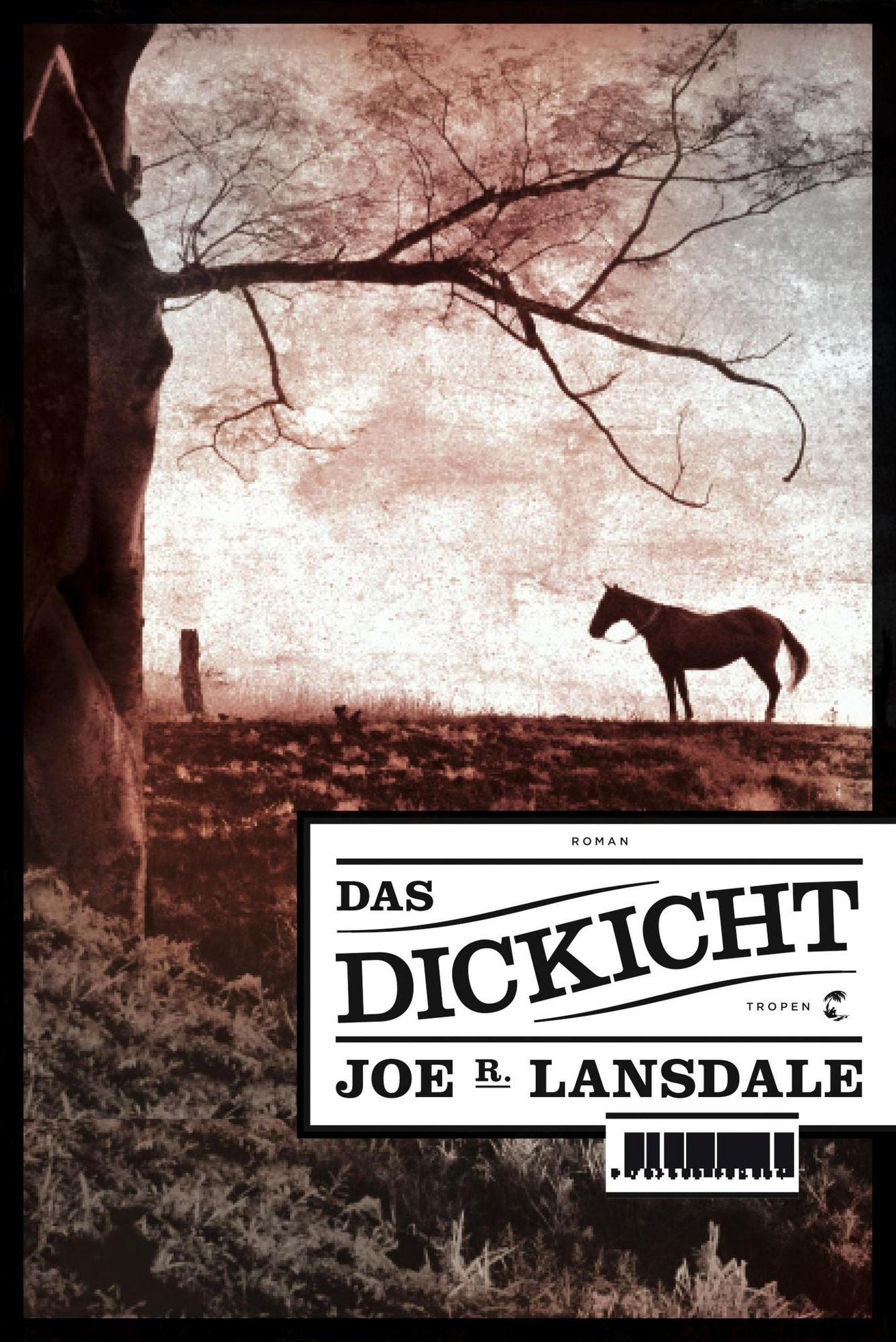 Das Dickicht: Roman