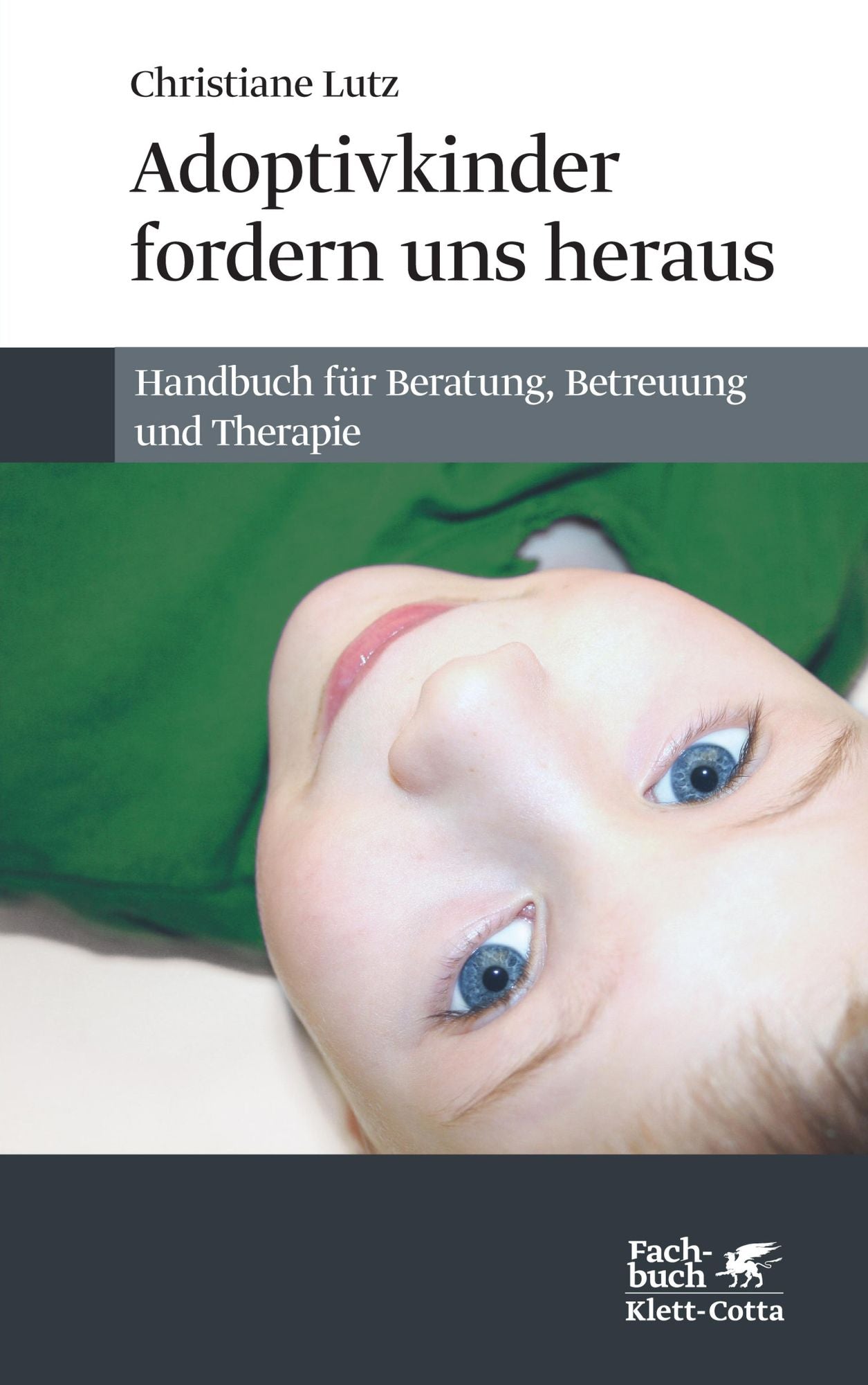 Adoptivkinder fordern uns heraus: Handbuch für Beratung, Betreuung und Therapie