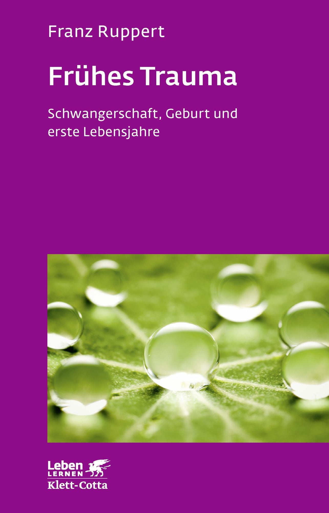 Frühes Trauma: Schwangerschaft, Geburt und erste Lebensjahre