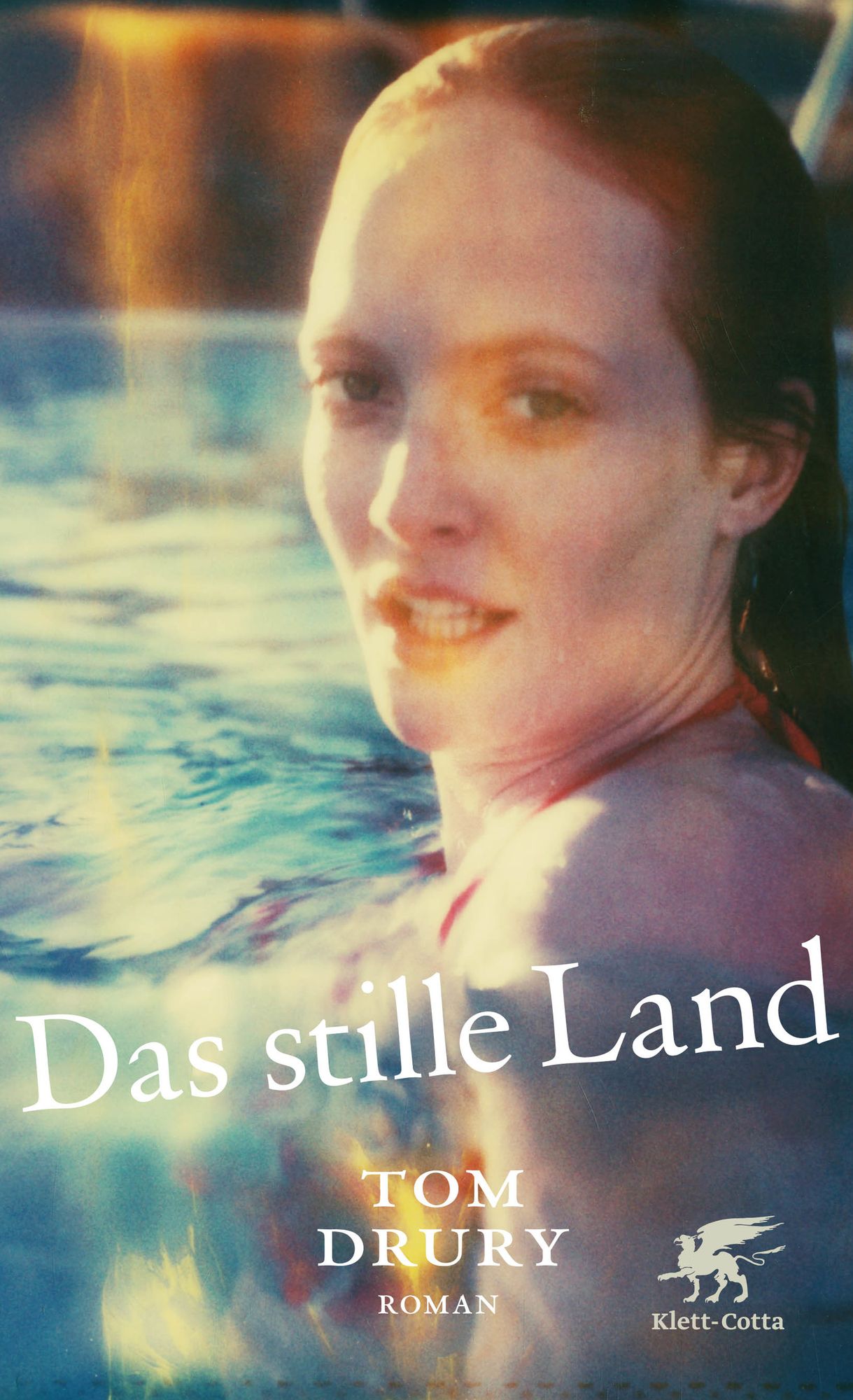 Das stille Land: Roman