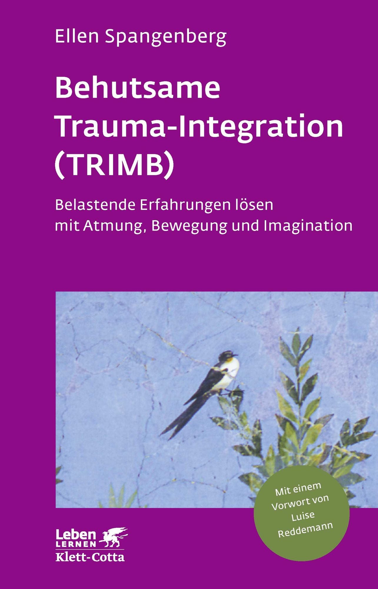 Behutsame Trauma-Integration (TRIMB): Belastende Erfahrungen lösen mit Atmung, Bewegung und Imagination