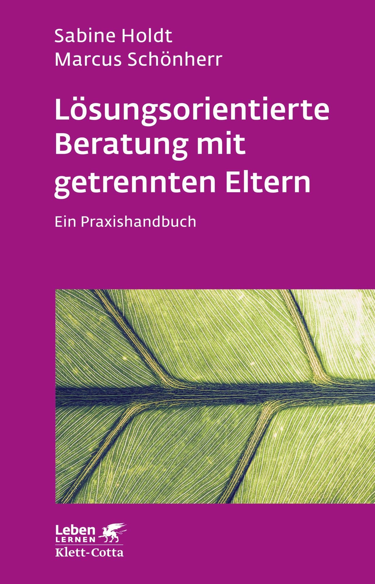 Lösungsorientierte Beratung mit getrennten Eltern: Ein Praxishandbuch