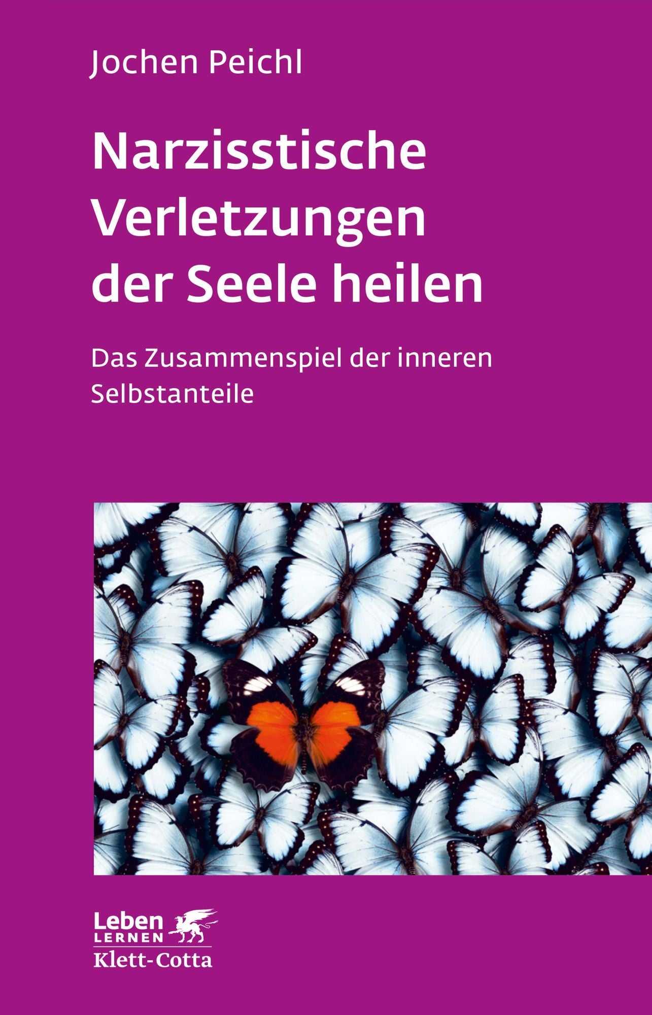 Narzisstische Verletzungen der Seele heilen: Das Zusammenspiel der inneren Selbstanteile
