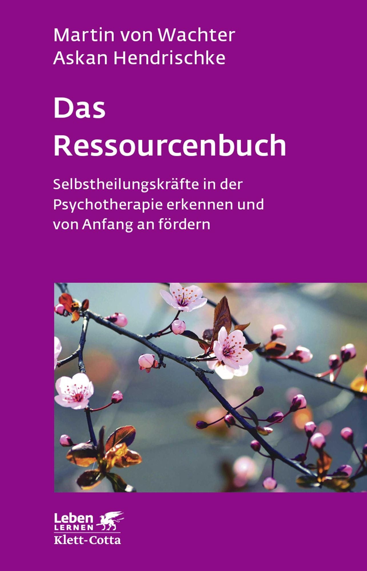 Das Ressourcenbuch: Selbstheilungskräfte in der Psychotherapie erkennen und von Anfang an fördern