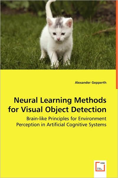 Neural Learning Methods for Visual Object Detection - Brain-Like Principles for Environment Perception in Artificial Cognitive Systems