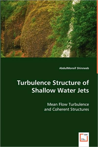 Turbulence Structure of Shallow Water Jets